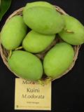 kwini ، fragrant mango ، Saipan mango
